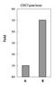 L3MBTL Histone Methyl-Lysine Binding Protein 2 antibody, PA5-28549, Invitrogen Antibodies, Chromatin Immunoprecipitation image 