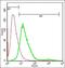 Interleukin 17B antibody, orb5536, Biorbyt, Flow Cytometry image 