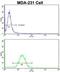 Emerin antibody, abx032849, Abbexa, Flow Cytometry image 