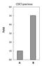 L3MBTL Histone Methyl-Lysine Binding Protein 2 antibody, GTX107234, GeneTex, Chromatin Immunoprecipitation image 