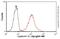 Lamin A/C antibody, ab8984, Abcam, Flow Cytometry image 