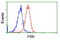 Fyn Related Src Family Tyrosine Kinase antibody, LS-C172340, Lifespan Biosciences, Flow Cytometry image 