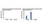 Nuclear Receptor Subfamily 3 Group C Member 1 antibody, 12041T, Cell Signaling Technology, Chromatin Immunoprecipitation image 