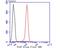 Coilin antibody, NBP2-75443, Novus Biologicals, Flow Cytometry image 