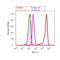 Huntingtin antibody, 701663, Invitrogen Antibodies, Flow Cytometry image 