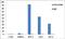 H3 Histone Family Member 3B antibody, PA5-22388, Invitrogen Antibodies, Chromatin Immunoprecipitation image 