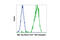 c-Myc antibody, 2279S, Cell Signaling Technology, Flow Cytometry image 