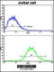 MER Proto-Oncogene, Tyrosine Kinase antibody, 63-251, ProSci, Flow Cytometry image 