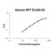 Dermatopontin antibody, EK1633, Boster Biological Technology, Enzyme Linked Immunosorbent Assay image 