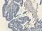 Tescalcin antibody, 11125-1-AP, Proteintech Group, Immunohistochemistry paraffin image 