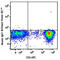 T-Box 21 antibody, 644815, BioLegend, Immunocytochemistry image 