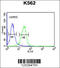 Claudin 15 antibody, 64-137, ProSci, Flow Cytometry image 