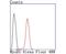 Myogenic Differentiation 1 antibody, NBP2-66966, Novus Biologicals, Flow Cytometry image 