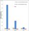 Jun Proto-Oncogene, AP-1 Transcription Factor Subunit antibody, 711207, Invitrogen Antibodies, Chromatin Immunoprecipitation image 