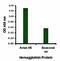 Avian Influenza Hemagglutinin 1 antibody, orb74583, Biorbyt, Enzyme Linked Immunosorbent Assay image 