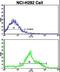 FTO Alpha-Ketoglutarate Dependent Dioxygenase antibody, LS-C166270, Lifespan Biosciences, Flow Cytometry image 