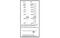 Leucyl-TRNA Synthetase 2, Mitochondrial antibody, MBS831897, MyBioSource, Western Blot image 