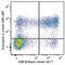 Granzyme A antibody, 507220, BioLegend, Flow Cytometry image 