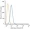 Inhibitor Of Nuclear Factor Kappa B Kinase Subunit Beta antibody, NB100-56509, Novus Biologicals, Flow Cytometry image 