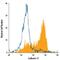 Cadherin 11 antibody, FAB17901A, R&D Systems, Flow Cytometry image 