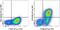 Glycoprotein Nmb antibody, 50-5708-80, Invitrogen Antibodies, Flow Cytometry image 