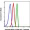 Mitogen-Activated Protein Kinase Kinase 1 antibody, MA5-28039, Invitrogen Antibodies, Flow Cytometry image 