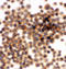 AB1IP antibody, LS-C313493, Lifespan Biosciences, Immunohistochemistry paraffin image 