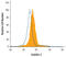 Stabilin-2 antibody, AF3645, R&D Systems, Flow Cytometry image 