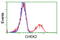 Checkpoint Kinase 2 antibody, TA500399, Origene, Flow Cytometry image 