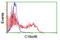 Regulator Of MON1-CCZ1 antibody, TA504561, Origene, Flow Cytometry image 