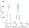 Bone Morphogenetic Protein Receptor Type 1A antibody, NBP2-37421, Novus Biologicals, Flow Cytometry image 