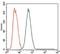 Maternal Embryonic Leucine Zipper Kinase antibody, GTX60605, GeneTex, Flow Cytometry image 