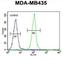 IGKV A18 antibody, abx025013, Abbexa, Western Blot image 