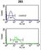 Replication Factor C Subunit 3 antibody, LS-C162550, Lifespan Biosciences, Flow Cytometry image 