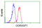 Golgi Reassembly Stacking Protein 1 antibody, GTX84424, GeneTex, Flow Cytometry image 