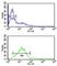 Phospholamban antibody, F51974-0.4ML, NSJ Bioreagents, Western Blot image 