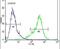 MTOR Associated Protein, Eak-7 Homolog antibody, PA5-24016, Invitrogen Antibodies, Flow Cytometry image 