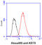 Keratin 8 antibody, GTX57589, GeneTex, Flow Cytometry image 