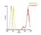 Leucine Rich Repeat Containing 32 antibody, E08199, Boster Biological Technology, Flow Cytometry image 