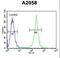 Calponin 3 antibody, LS-C168280, Lifespan Biosciences, Flow Cytometry image 