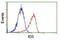 Iduronate 2-Sulfatase antibody, NBP2-01745, Novus Biologicals, Flow Cytometry image 