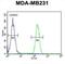 Arginase 1 antibody, abx034184, Abbexa, Flow Cytometry image 