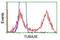 Tubulin Alpha 3e antibody, NBP2-02878, Novus Biologicals, Flow Cytometry image 