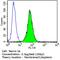 Erb-B2 Receptor Tyrosine Kinase 3 antibody, MA1-860, Invitrogen Antibodies, Flow Cytometry image 