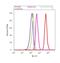 Synaptic Ras GTPase Activating Protein 1 antibody, PA1-046, Invitrogen Antibodies, Flow Cytometry image 