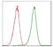Cyclin Dependent Kinase 2 antibody, MA5-17052, Invitrogen Antibodies, Flow Cytometry image 