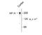 Neurofilament Heavy antibody, 50-253, ProSci, Western Blot image 