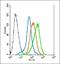 Protocadherin 1 antibody, orb3027, Biorbyt, Flow Cytometry image 