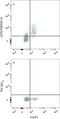 TNF Receptor Superfamily Member 18 antibody, FAB5241A, R&D Systems, Flow Cytometry image 