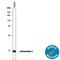 Glutaredoxin antibody, AF3399, R&D Systems, Western Blot image 